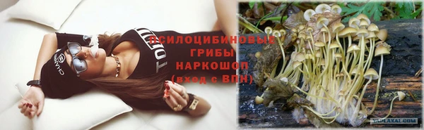 дурь Балахна
