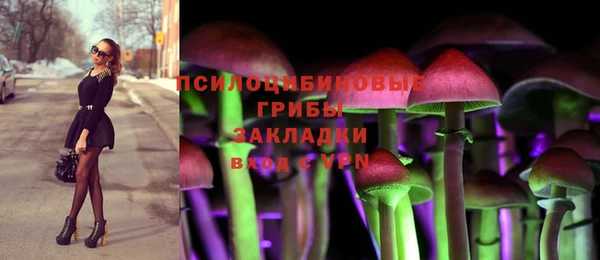 дурь Балахна