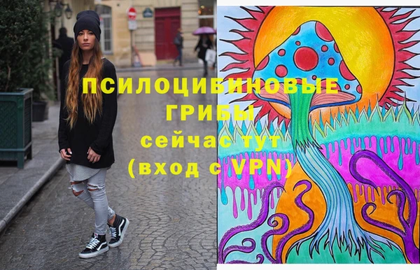 дурь Балахна